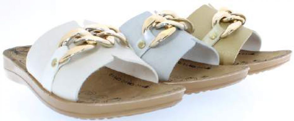 SRC-2564-b