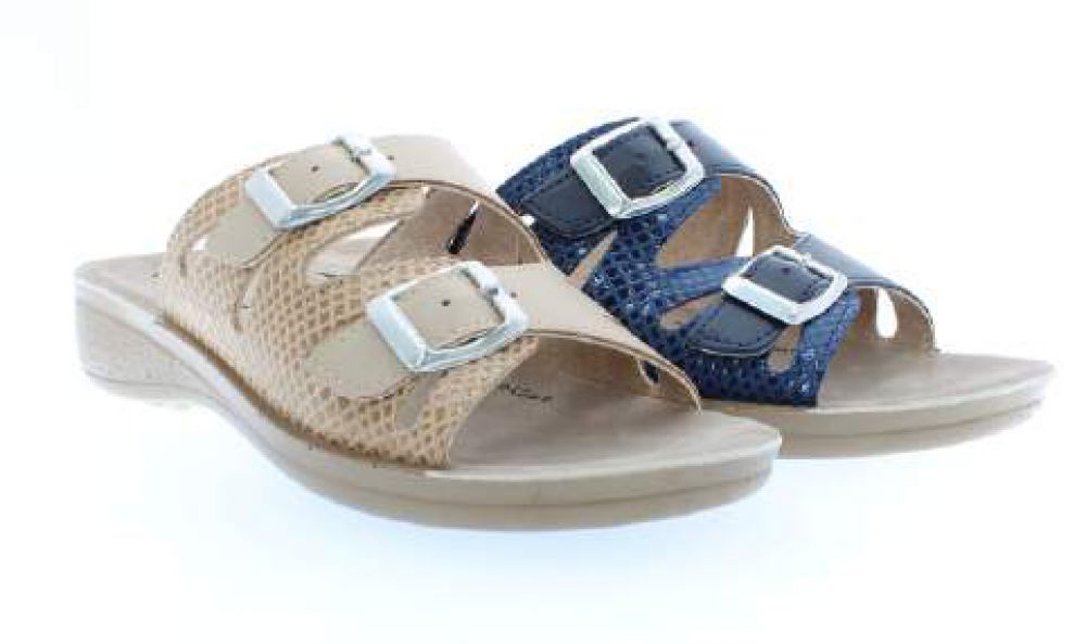 SRC-2556-b